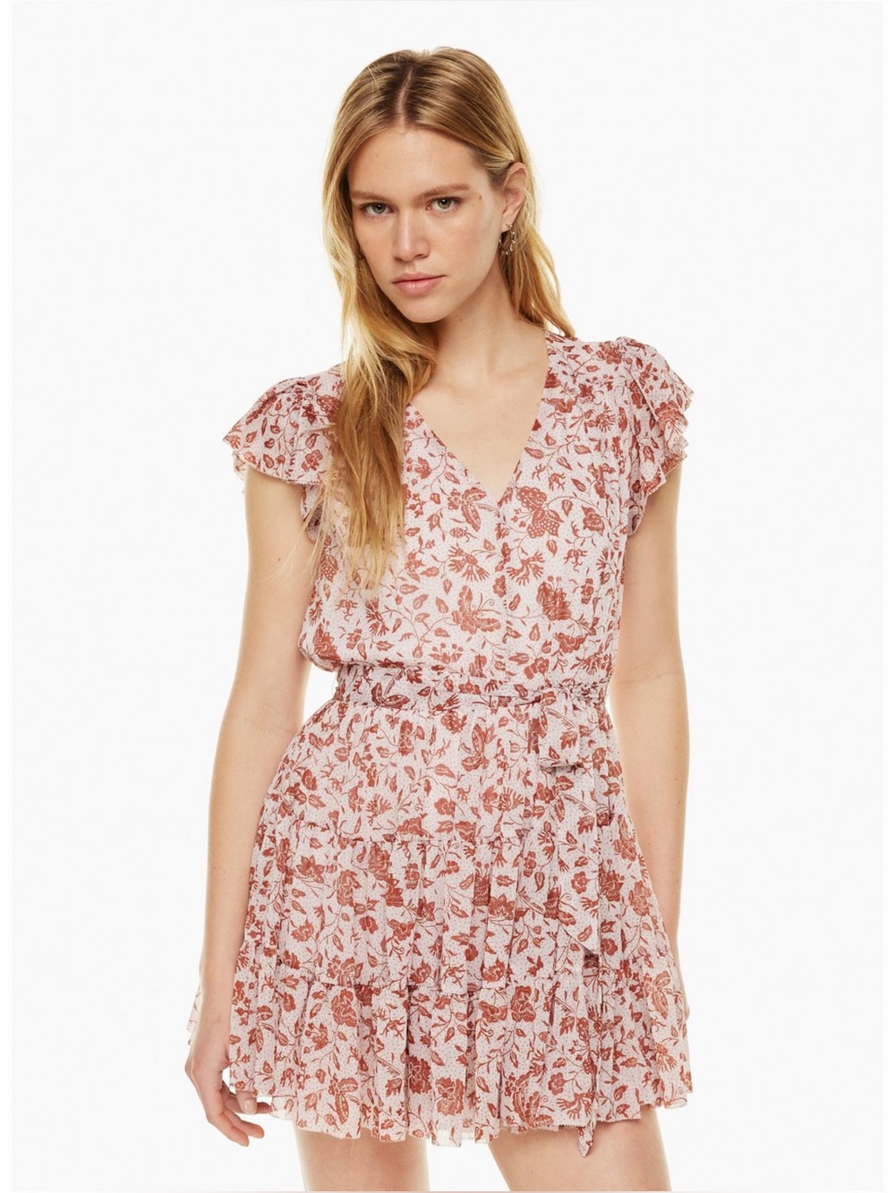 Aritzia Little Moon Rhea Dress